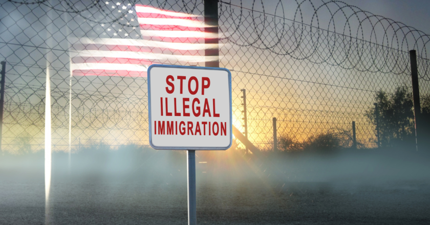 Understanding the Constitution: How States May Respond to Illegal Immigration—Part II
