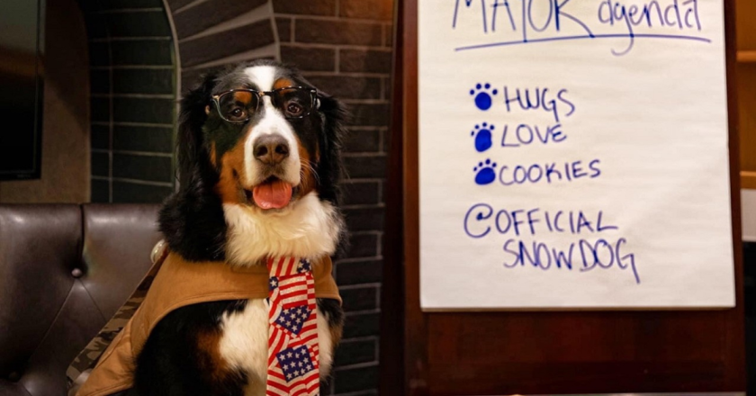 BREAKING NEWS: Mayor of Georgetown, CO Throws Paw into Presidential Race