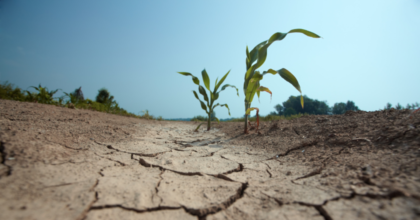 Kansas forced Colorado to stop irrigating 25,000 acres of farmland. Was it too soon to put them in the same room?