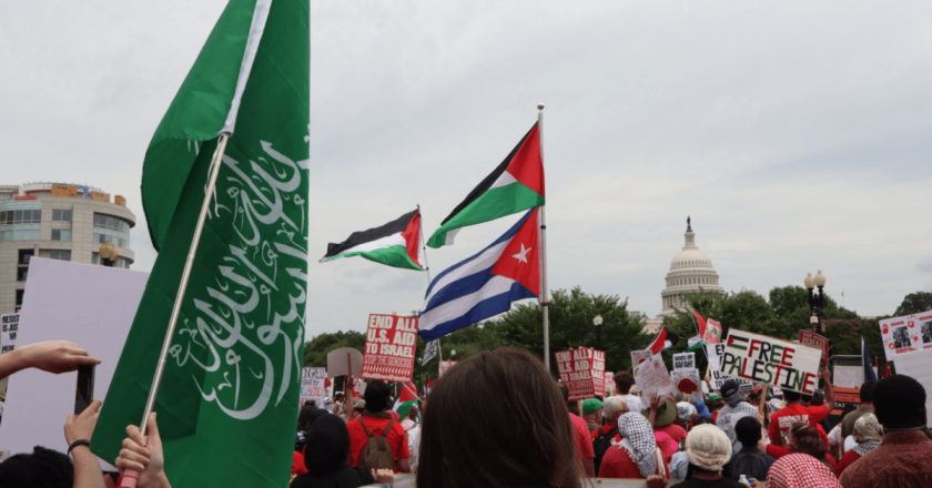 Republican files bill to deport Pro-Hamas migrants following American flag-burning D.C. riot