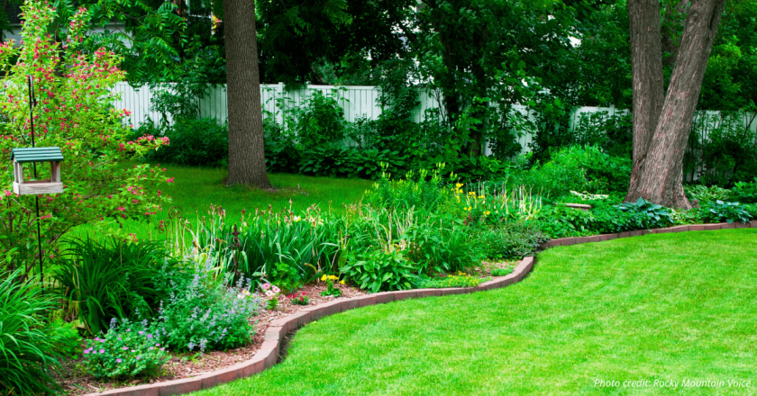 HB 1113 would task Colorado cities, counties with limiting amount and type of grass allowed around homes by 2028