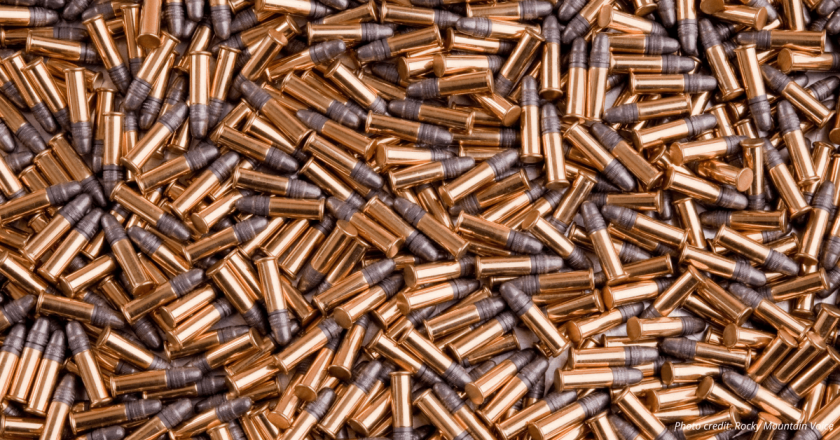 House Bill 1133 aims to raise state’s minimum age to buy firearm ammunition to 21