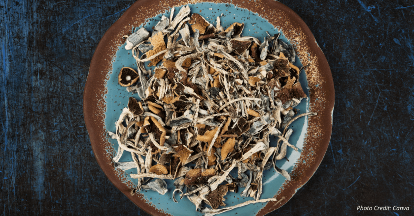The Colorado psychedelic mushroom experiment has arrived