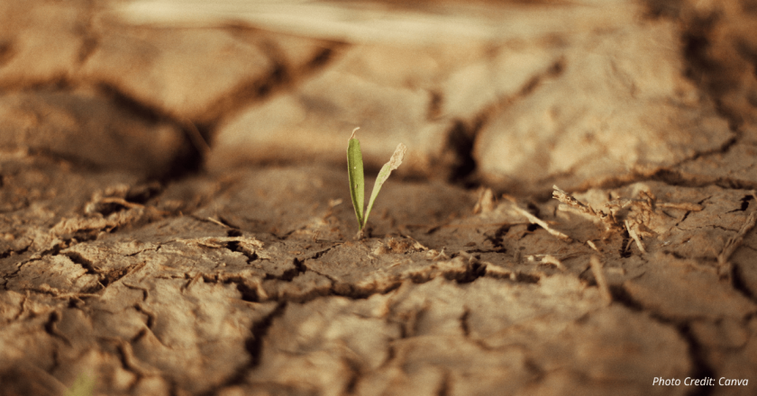 Devotional: Embracing new life through regeneration
