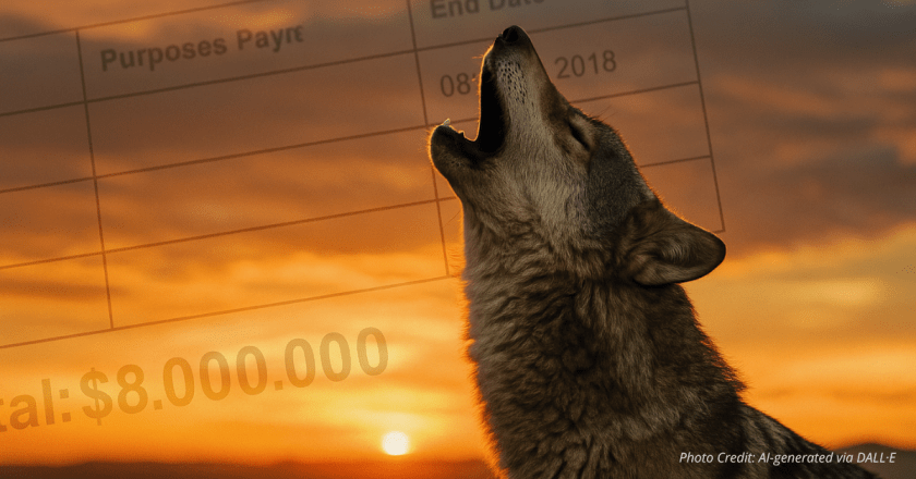 Wolf Program Hits $8 Million as Critics Ask Who Really Benefits