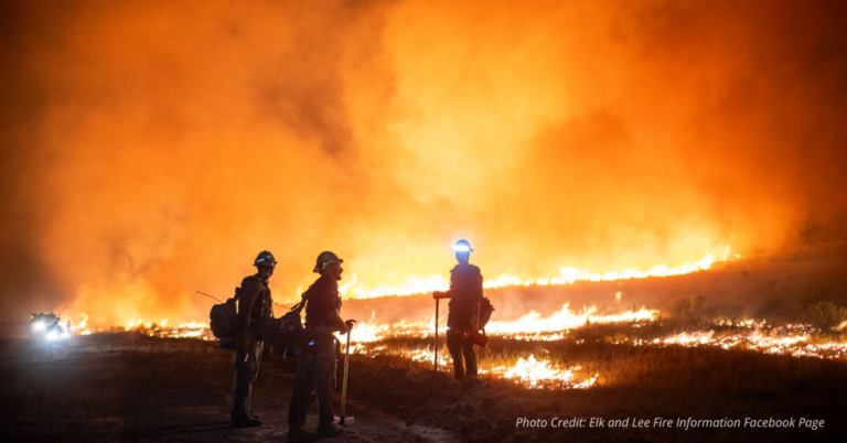 Fire crews working on Elk and Lee wildfires in Colorado.