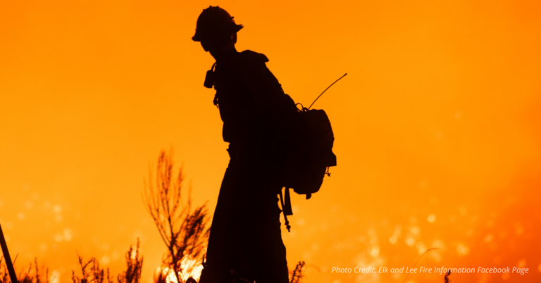 Firefighter silhouette against orange sky battling Elk Fire in Colorado