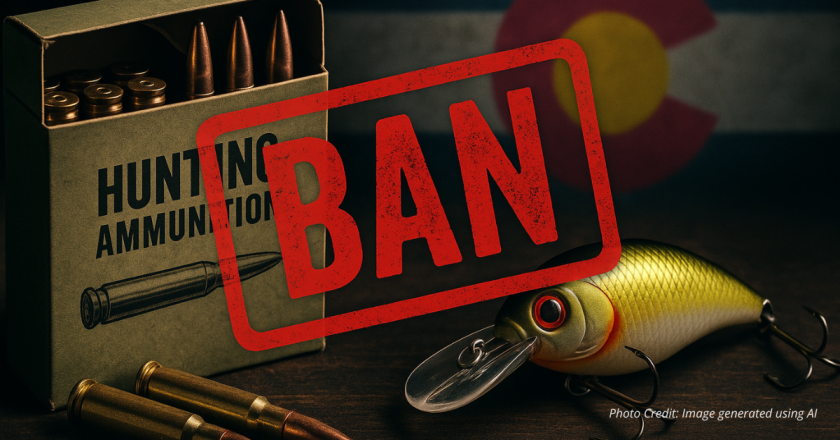 Wildlife activists urge CPW to ban lead tackle and bullets, hunters push back