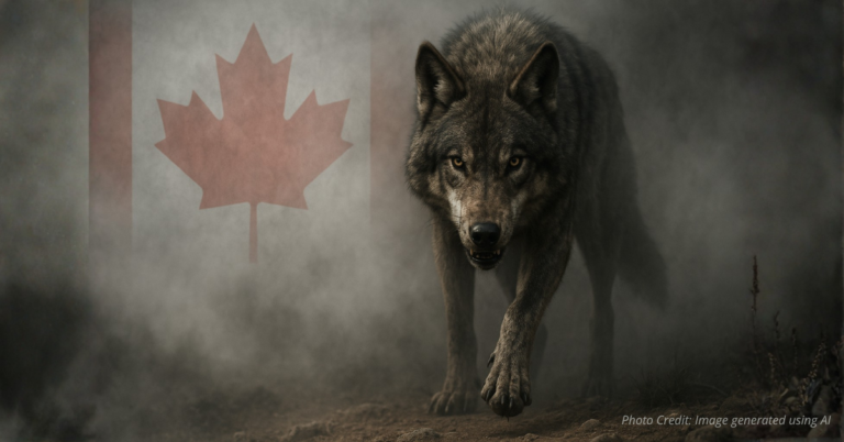 Wolf stepping from Canadian flag into Colorado wilderness