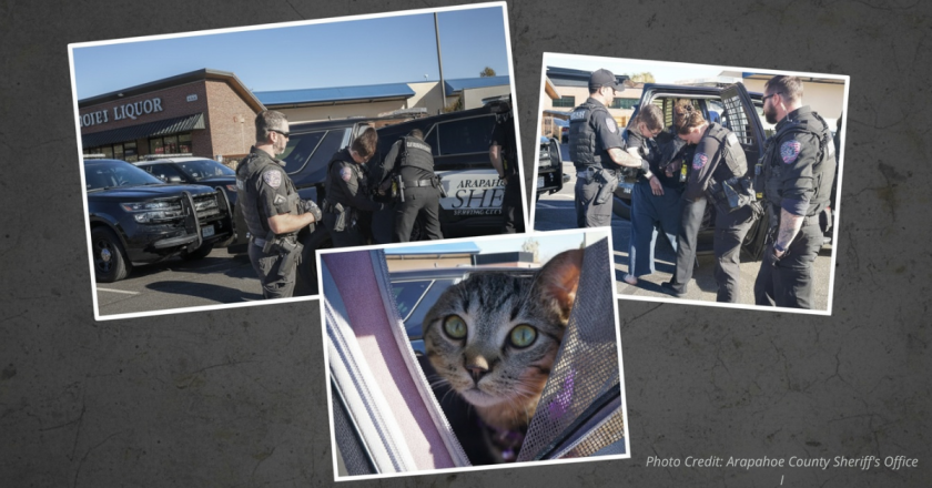 Modern-Day “Bonnie and Clyde” Busted with Cat After Violent Colorado Liquor Store Theft