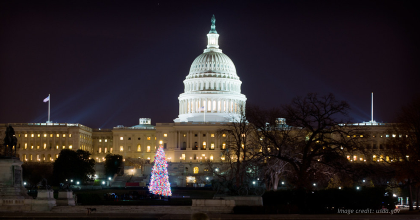 Rand Paul’s Festivus Report Flags $1.6 Trillion in Federal Waste