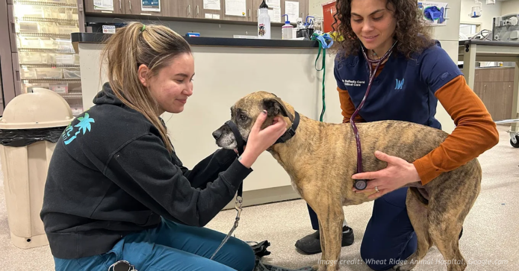 Wheat Ridge Animal Hospital Care Facility