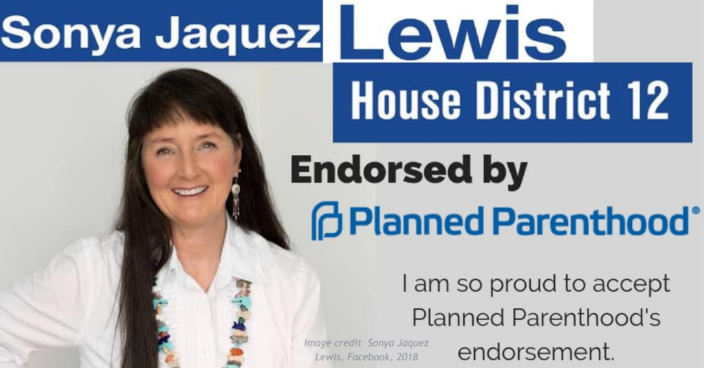 Sonya Lewis 2018 campaign meme on Facebook.