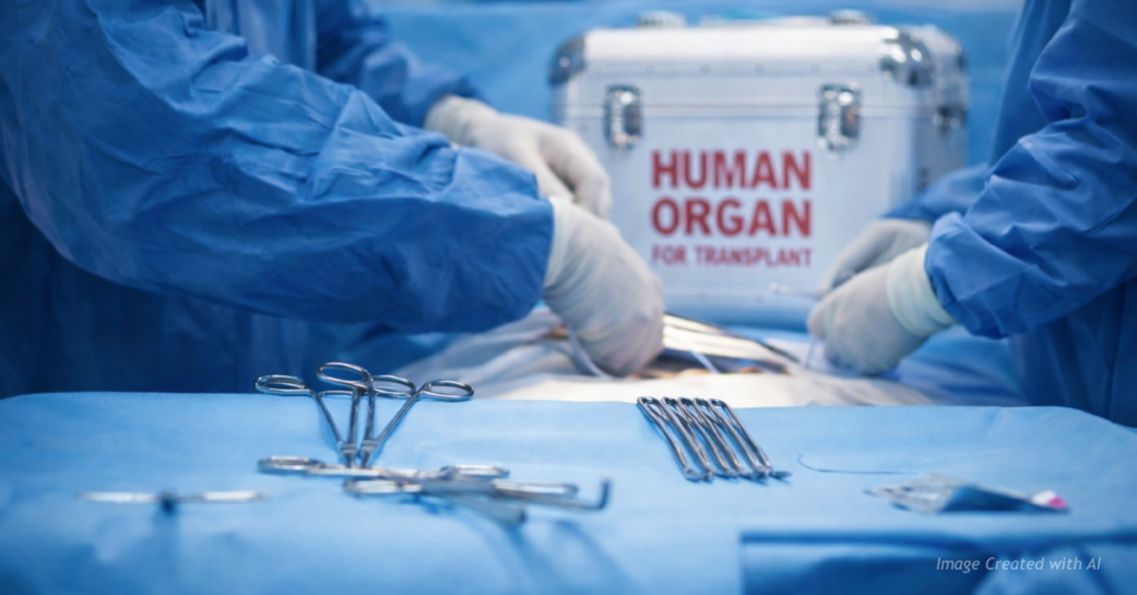 Surgical instruments on an operating table with surgeons in gowns as a human organ transplant container sits in the background