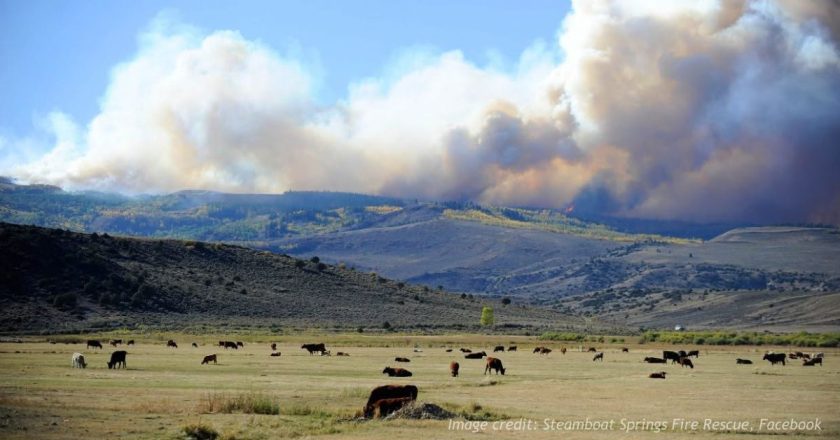 Disaster Declaration Issued as Routt County Wildfires Threaten Communities
